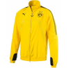 BVB Stadium Jacket