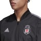 adidas Performance Bjk Anthem Jkt