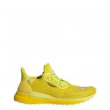 Pw Solarhu Gryscale