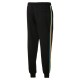 Puma FD TFS WH TRK Pant FT