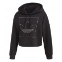 Crop Hoodie
