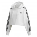 Cropped Hood