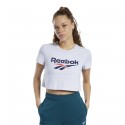 Cl F Vector Crop Tee