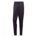 Tan Tr Pant