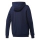 Reebok Cl F Big Logo Hoodie Ft