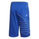 adidas Originals Bg T Out Short