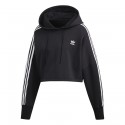 Cropped Hood