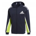 Osr M Fz Hoodie