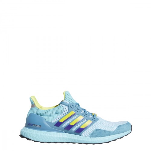 adidas Performance Ultraboost 1.0 Dna