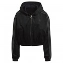 Hooded Tt