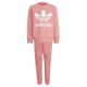 adidas Originals Crew Set
