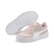 Ps Carina L