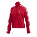 Track Jacket