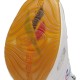 Reebok Question Mid