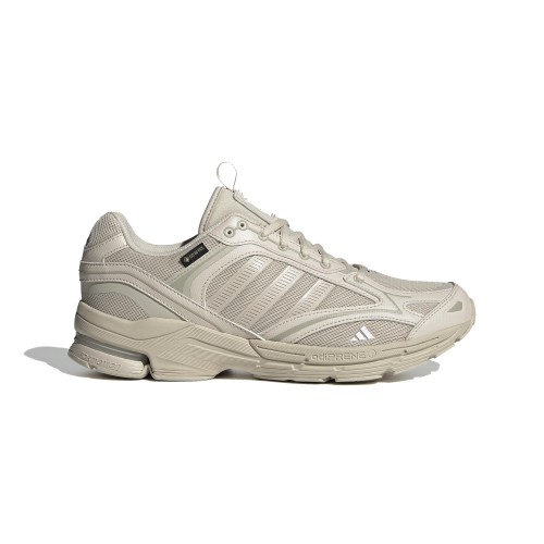 adidas Performance Spiritain 2000 Gtx