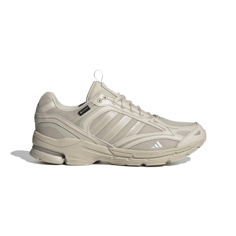 adidas Performance Spiritain 2000 Gtx
