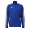 adidas Performance Tiro19 Tr Jkt