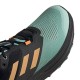 adidas Performance Terrex Two Flow
