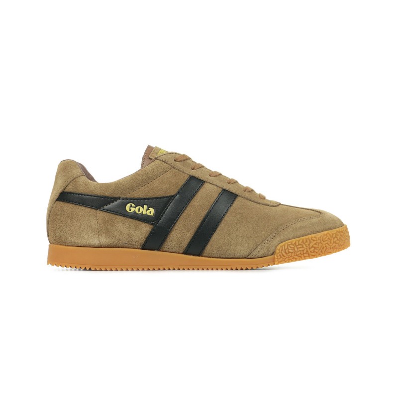 Gola Harrier