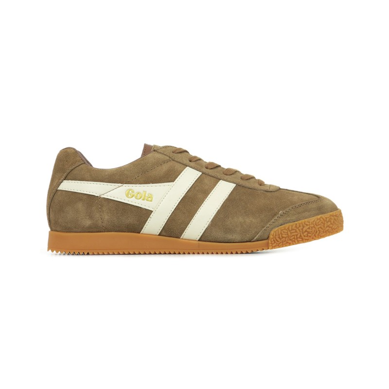 Gola Harrier