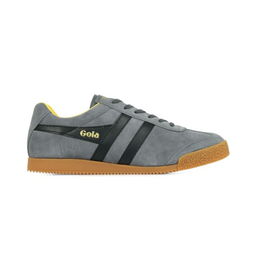 Gola Harrier