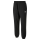 Puma Fd Clsc S Lgo Sw Pt Fl