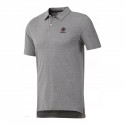 Ac F Polo