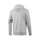 Reebok CS Graphic Hoodie