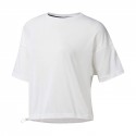 Elements Mesh