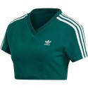 Cropped Tee