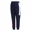 Lb Ft Kn Pant