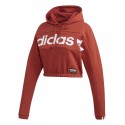 Cropped Hoodie