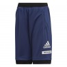 adidas Performance Jb Tr Bold Sh