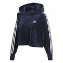 Cropped Hoodie
