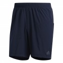 Saturday Shorts