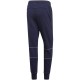 adidas Originals Pants Kaval Graphic