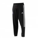 Tiro 70A Pant