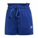 Satin Shorts