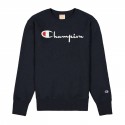 Reverse Weave Script Logo Crewneck Sweatshirt