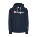 Reverse Weave Script Logo Hooded Sweatshirt