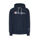 Champion Reverse Weave Script Logo Hooded Sweatshirt