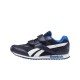 Royal Cljog 2 2V