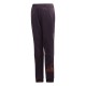 adidas Performance Yg Iw Pnt