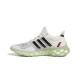 Ultraboost Web Dna